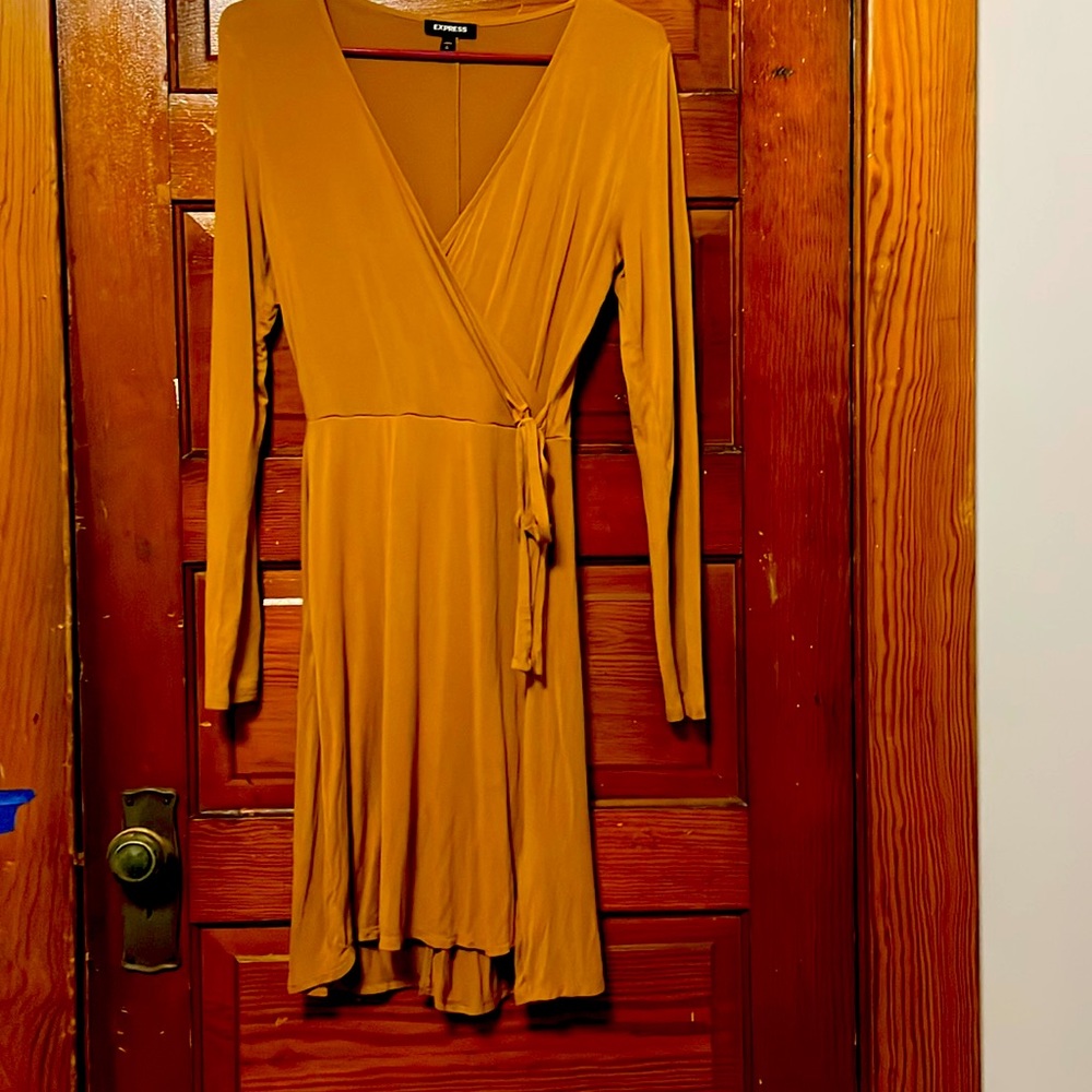 A Brownish Orange long sleeve dress from Express